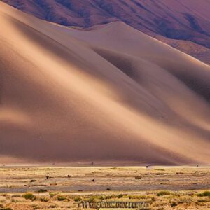 Great Sand Dunes National Park and Preserve