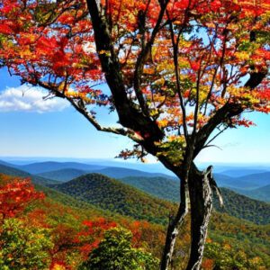 Shenandoah National Park